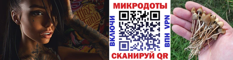Псилоцибиновые грибы ЛСД  Купить где  Лабытнанги 